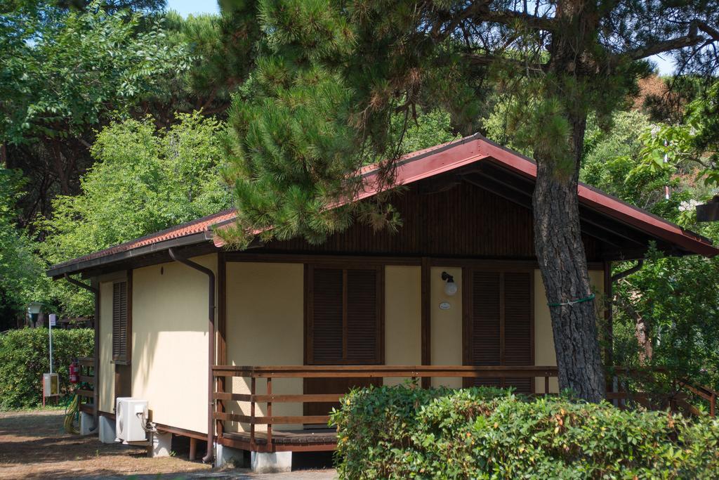 Campsite Village Camping Hawaii Albinia